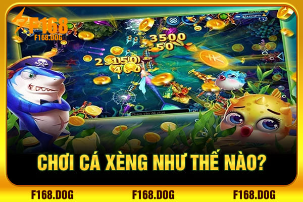 Chơi cá xèng như thế nào?