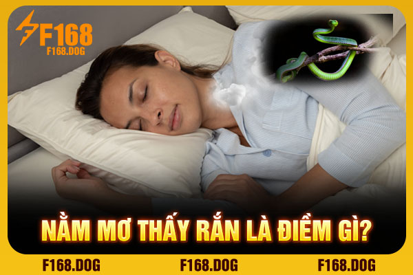 Nằm mơ thấy rắn là điềm gì?