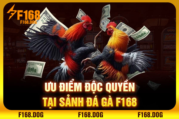 Ưu điểm độc quyền tại sảnh đá gà F168